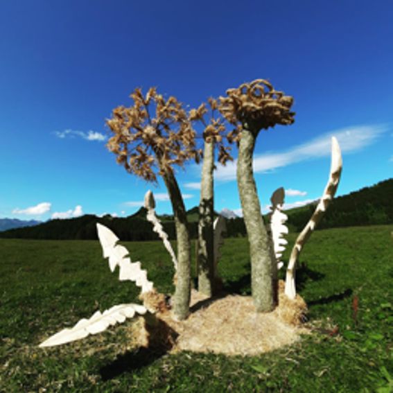DANDELION, installation AILYOS ART NATURE Ciel&Terre,2021 Aigle - Leysin - Les Mosses -SWITZERLAND-