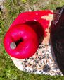"APPLE"  -AILYOS ART & NATURE,  SWITZERLAND 2025