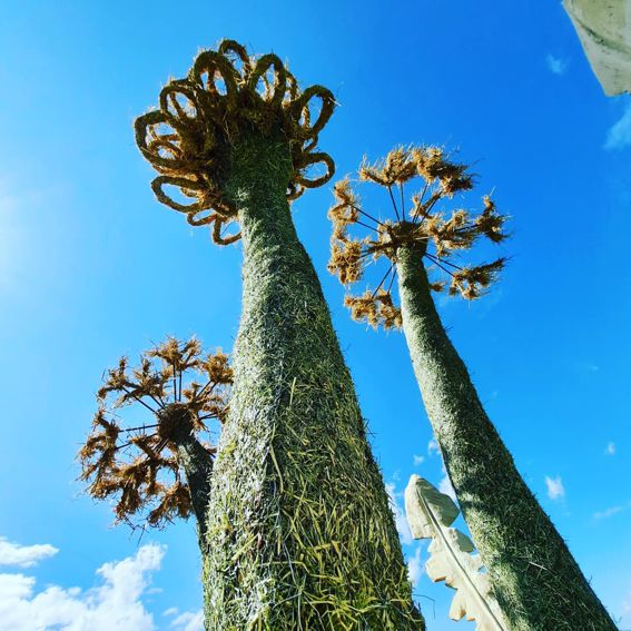 DANDELION, installation AILYOS ART NATURE Ciel&Terre,2021 Aigle - Leysin - Les Mosses -SWITZERLAND-
