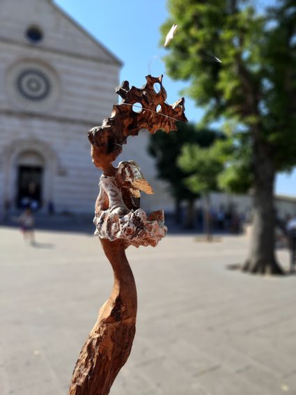 COGLI UN FIORE SULLA TERRA E MUOVERAI LA STELLA PIU' DISTANTE -ASSISI-2022-