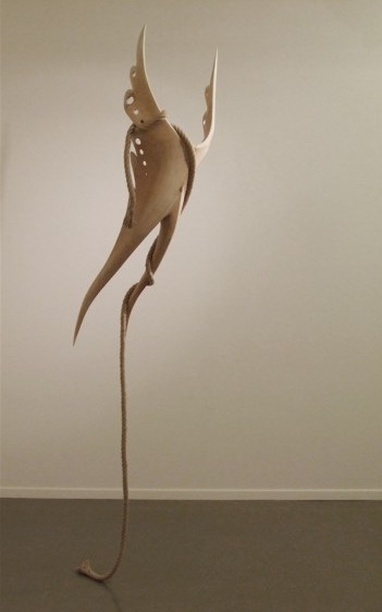 Volo